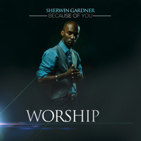 Sherwin Gardner - Because of You