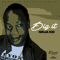 Ninja Kid - Dig It - Single