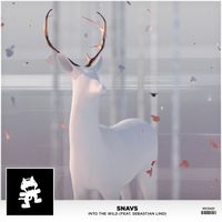 Snavs (feat. Sebastian Lind) - Into the Wild (feat. Sebastian Lind)