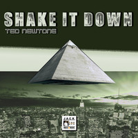 Ted Newtone - Shake It Down