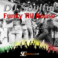 DJ Soulful - Funky Till House