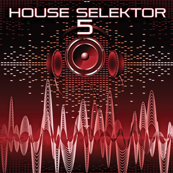 Various Artists - House Selektor, Vol. 5