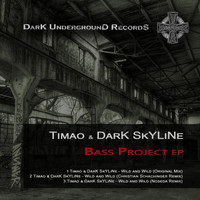 Dark Skyline - Bass Project EP