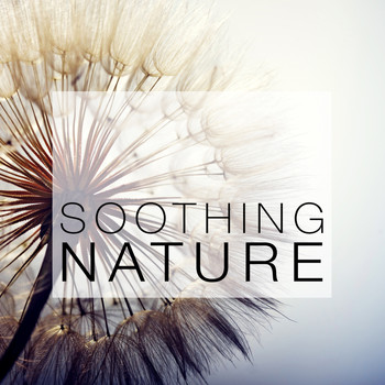 Soothing Sounds - Soothing Nature