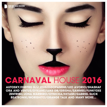 Various Artists - Carnaval House 2016