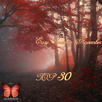 Various Artists - Easy Summer November Top 30