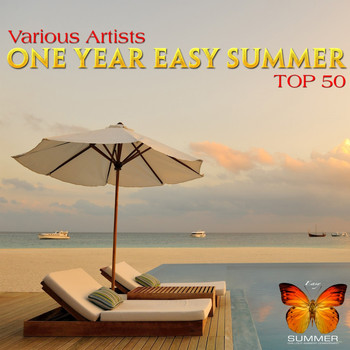 Various Artists - One Year Easy Summer