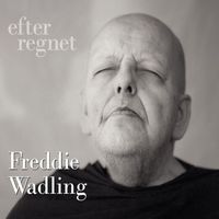 Freddie Wadling - Efter regnet