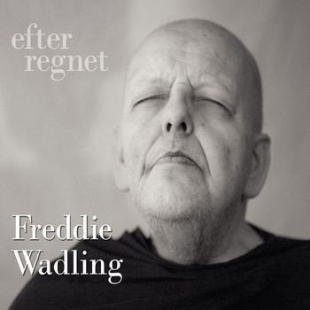 Freddie Wadling - Efter regnet