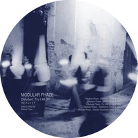 Modular Phaze - Disturbed / Try It All