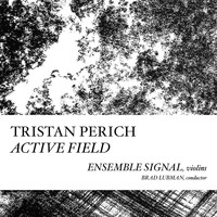 Tristan Perich - Active Field