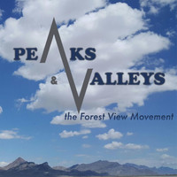The Forest View Movement - Peaks & Valleys