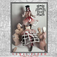Venal Flesh - Worshiping at the Altar of Artifice (Deluxe Edition)