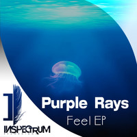 Purple Rays - Feel EP