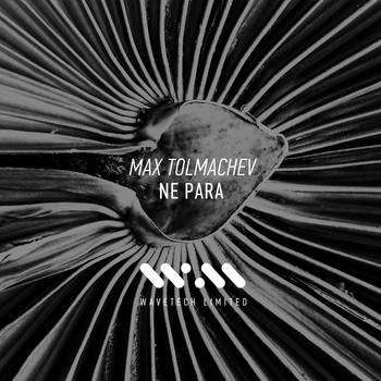 Max Tolmachev - Ne Para