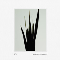 Wet - Weak (AKOUO Remix)