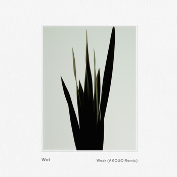 Wet - Weak (AKOUO Remix)