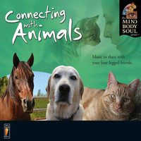 Stuart Jones - Connecting with Animals