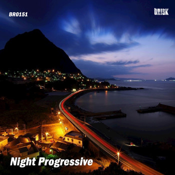 Various Artists - Night Progressive