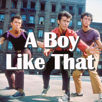 Various Artists - A Boy Like That
