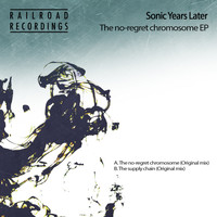 Sonic Years Later - The no-regret chromosome EP