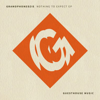 Gramophonedzie - Nothing To Expect