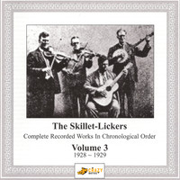 Skillet Lickers - Complete Recorded Works Vol.3