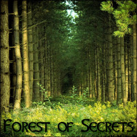 Derek Fiechter - Forest of Secrets