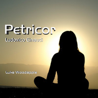 Luke Woodapple - Petricor (Piano solo)