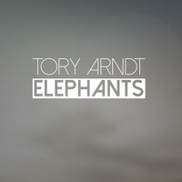 Tory Arndt - Elephants