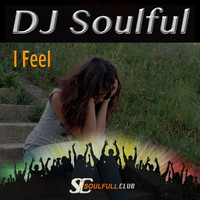 DJ Soulful - I Feel
