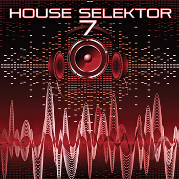 Various Artists - House Selektor, Vol. 7