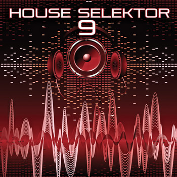Various Artists - House Selektor, Vol. 9