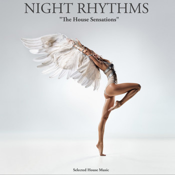 Various Artists - Night Rhythms (Selected House Music)