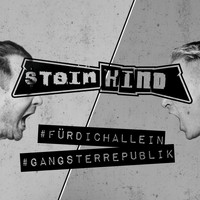 Steinkind - Für dich allein / Gangsterrepublik