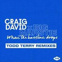 Craig David x Big Narstie - When The Bassline Drops (Todd Terry Remixes)