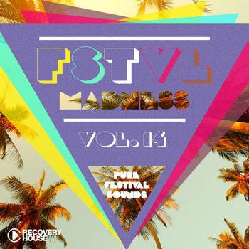 Various Artists - FSTVL Madness, Vol. 14 - Pure Festival Sounds (Explicit)