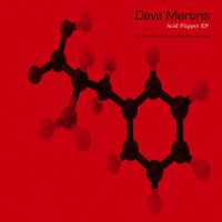 Dave Martins - Acid Flipper