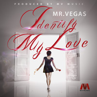Mr. Vegas - Identify - Single