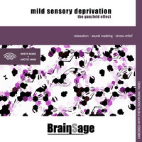 Brainsage - Mild Sensory Deprivation: The Ganzfeld Effect