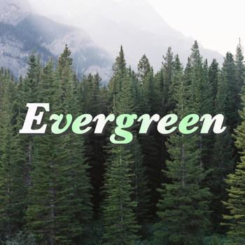 Various Artists - Evergreen