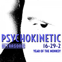 Psychokinetic - 16-29-2 Year of the Monkey