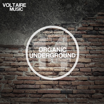 Various Artists - Organic Underground Issue 14