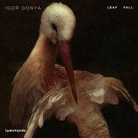 Igor Gonya - Leaf Fall