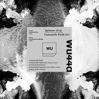 Splinter (UA) - Camomile Field EP
