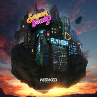 Sugarbeats - Fly High