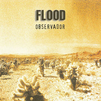 Flood - Observador
