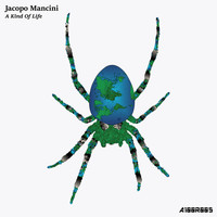 Jacopo Mancini - A Kind of Life