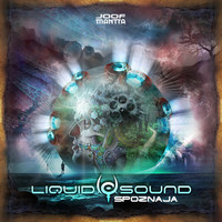 Liquid Sound - Ovde I Sada