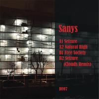 Sanys - Seizure